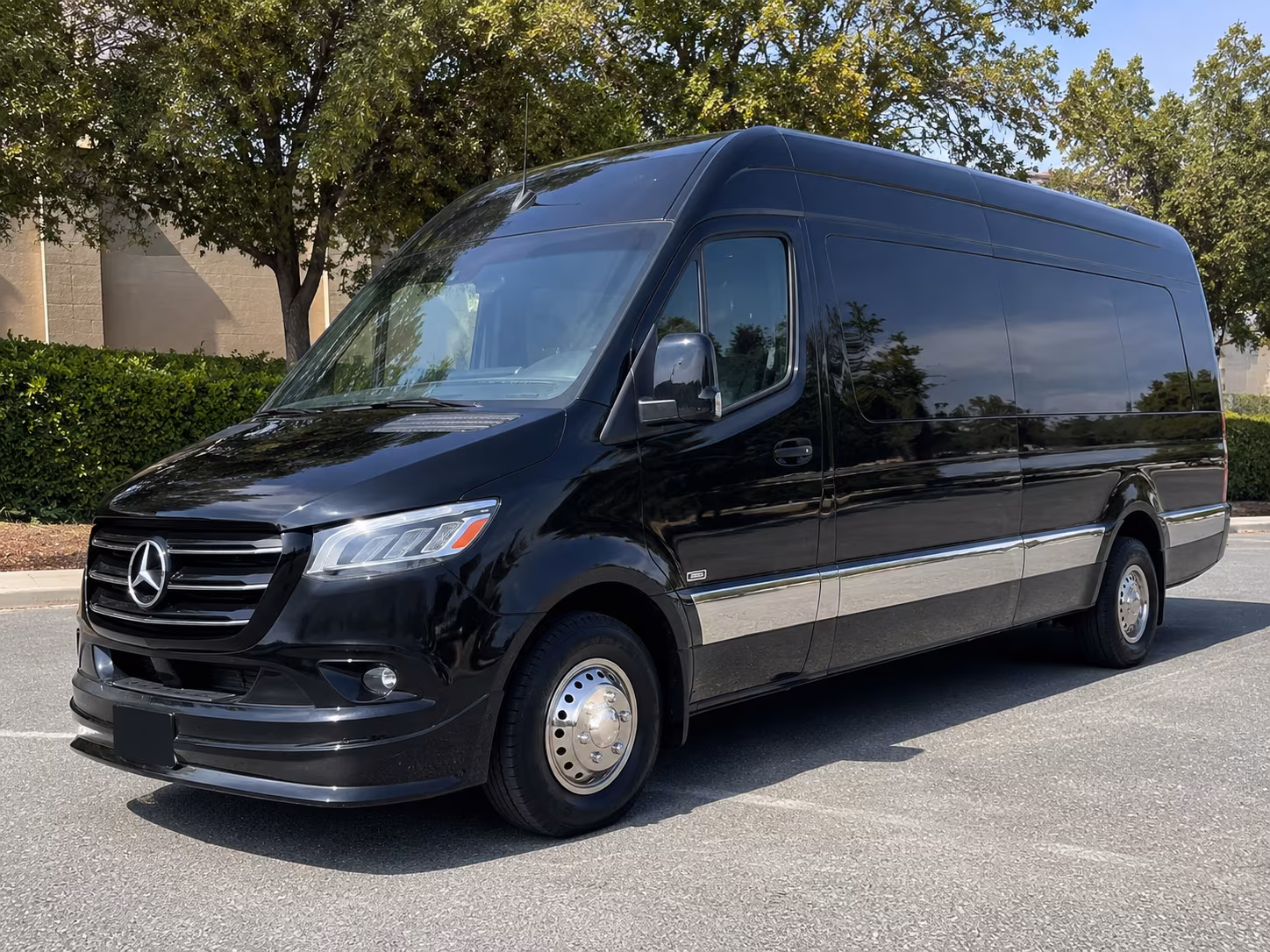 14 Passenger Sprinter Limo